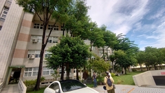 Terminalia calamansanai