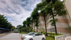 Terminalia calamansanai