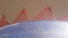 Trachipterus jacksonensis