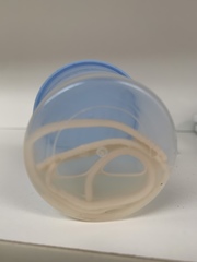 Cestoda