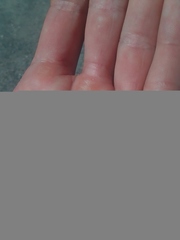 Brephulopsis