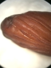 Psara obscuralis