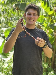 Rhinobothryum bovallii