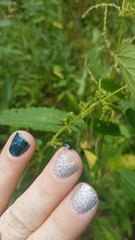 Sehirus cinctus albonotatus