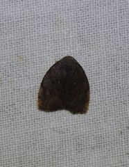 Hemonia micrommata