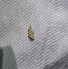 Microtheoris vibicalis