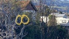 Hemiphaga novaeseelandiae