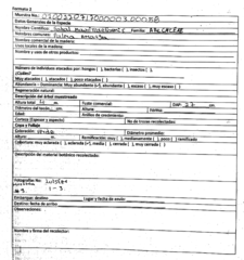 Sabal mauritiiformis