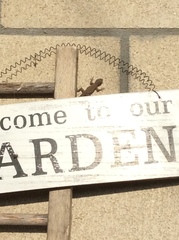 Sceloporus occidentalis longipes