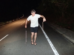 Lycodon rufozonatus walli