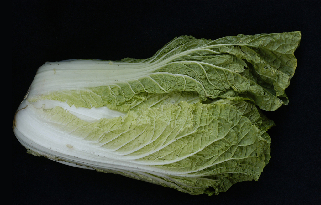 Napa cabbage - Wikipedia