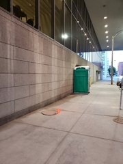 Parkesia noveboracensis