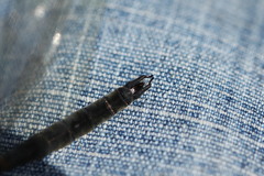 Somatochlora alpestris