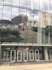 Archilochus colubris