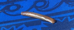 Ensis