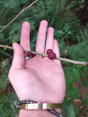 Disholcaspis globosa