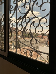 Foudia madagascariensis