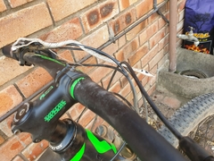 Thelotornis capensis