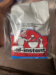 Saccharomyces cerevisiae