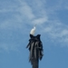 photo of Great Egret (Ardea alba)