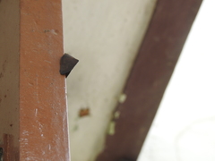 Pochazia