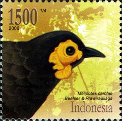 Wattled Smoky Honeyeater photo 1