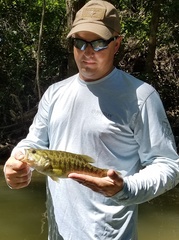 Micropterus treculii