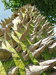 Ceiba glaziovii