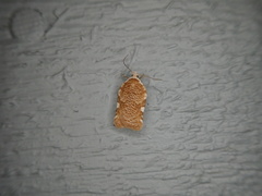 Acleris cervinana