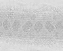 Hemorrhois ravergieri