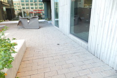 Parkesia noveboracensis