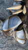 Goose Barnacles - Photo (c) Simon Nicholas, some rights reserved (CC BY-NC), uploaded by Simon Nicholas