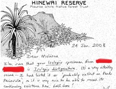 Isolepis distigmatosa