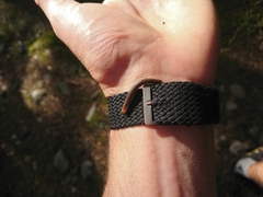 Cylindroiulus fulviceps