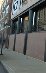 Parkesia noveboracensis