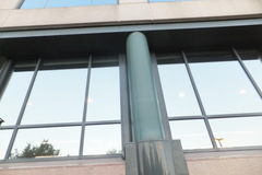 Nycticeius humeralis