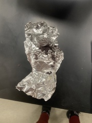 Calvatia cyathiformis