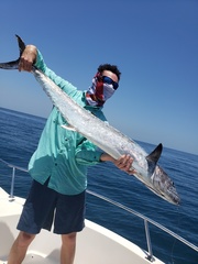 Scomberomorus cavalla