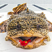 Leopard Toadfish - Photo (c) Josh Olive, some rights reserved (CC BY-NC-ND), uploaded by Josh Olive