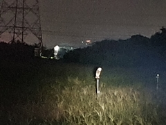 Tyto longimembris pithecops