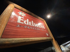 Brachionycha permixta