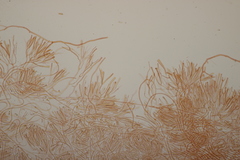 Calocera viscosa