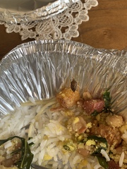 Tynacantha marginata