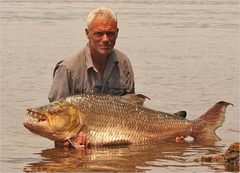 Giant Tigerfish photo 5