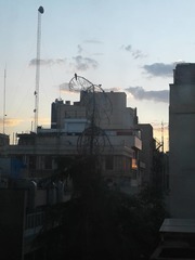 Streptopelia senegalensis