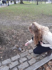 Sciurus carolinensis