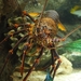 Longlegged Spiny Lobster - Photo (c) anonymous, some rights reserved (CC BY-SA)