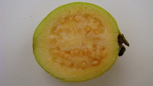 Psidium guineense