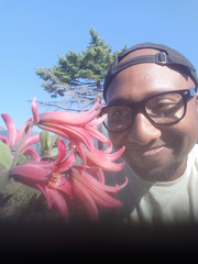 Lilium bolanderi