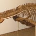 Liopleurodon ferox - Photo (c) Ghedoghedo, μερικά δικαιώματα διατηρούνται (CC BY-SA)